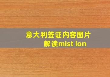 意大利签证内容图片解读mist ion